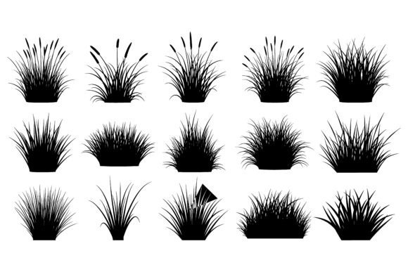 Various Grass and Cattail Plants Set: Nature-Inspired Silhouettes for Designers